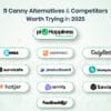 Canny Alternatives Competitors