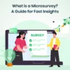 What is a Microsurvey